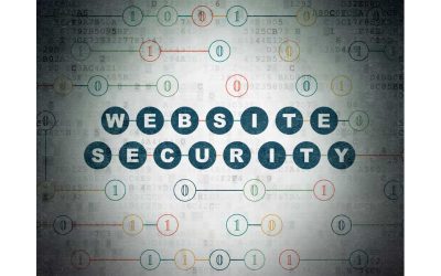 What You Should Expect When Having an Agency Host Your Webpage