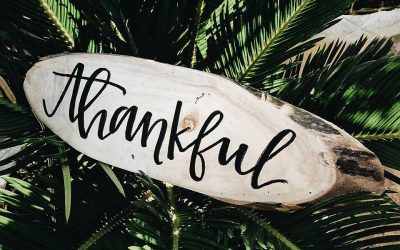 We’re Thankful for our Clients