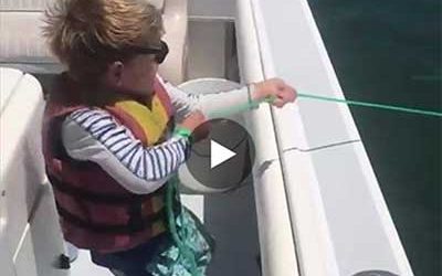 Local North Carolina Seafood Market Goes Viral With Fun Fishing Video
