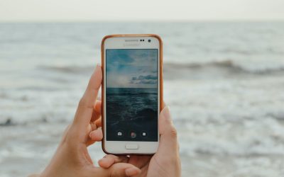 Top 3 Posts to Put on Your Social Media Content Calendar As a Small Business